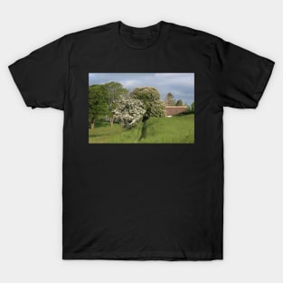 Chestnut and hawthorn T-Shirt